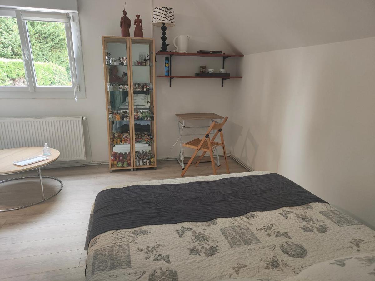 Séjour chez l'habitant Privee Avec Vue Sur Le Jardin Douai